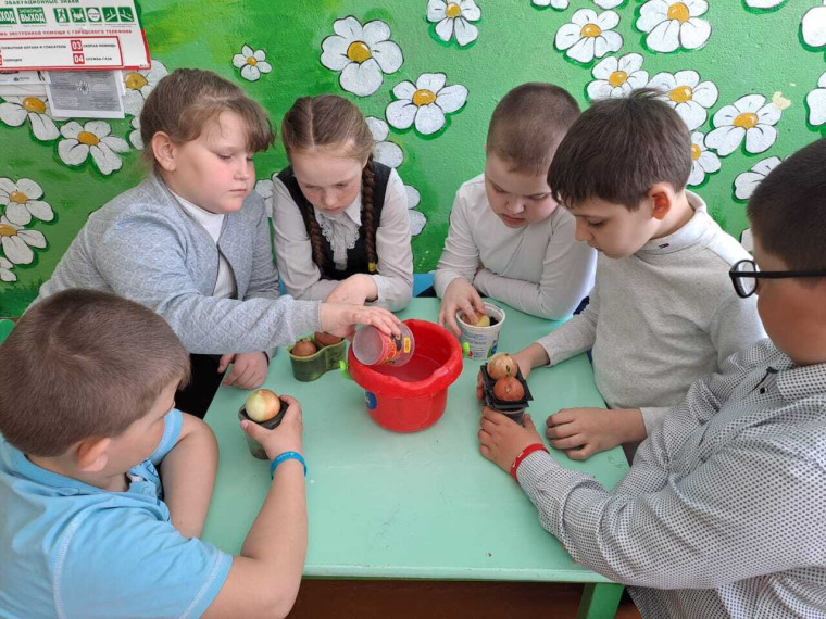 Луковые гонки в 3 классе!.